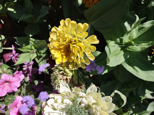 Shopping Mall «Sugar House Shopping Center», reviews and photos, 2274 S 1300 E, Salt Lake City, UT 84106, USA