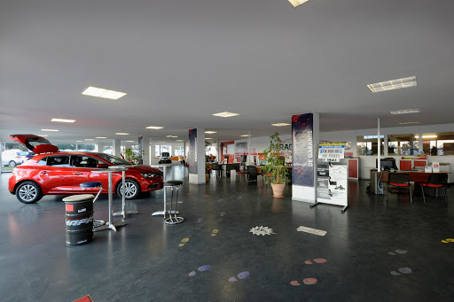 Photo 2 - Garage Des Stuarts Aubigny Sur Nere - Distinxion