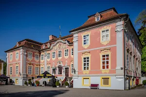 Schloss Assumstadt image