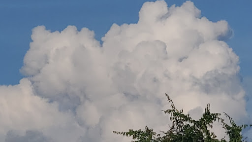 In Jesus Loving Arms