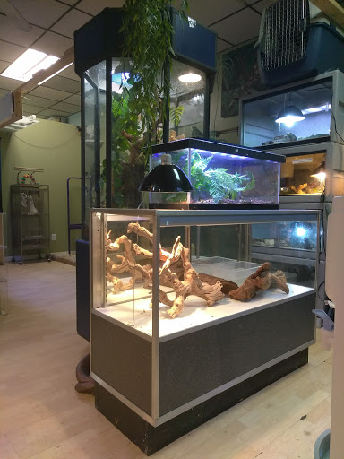 Pet Store «Off The Hook Exotics Pet Shop», reviews and photos, 926 5th Ave, Coraopolis, PA 15108, USA