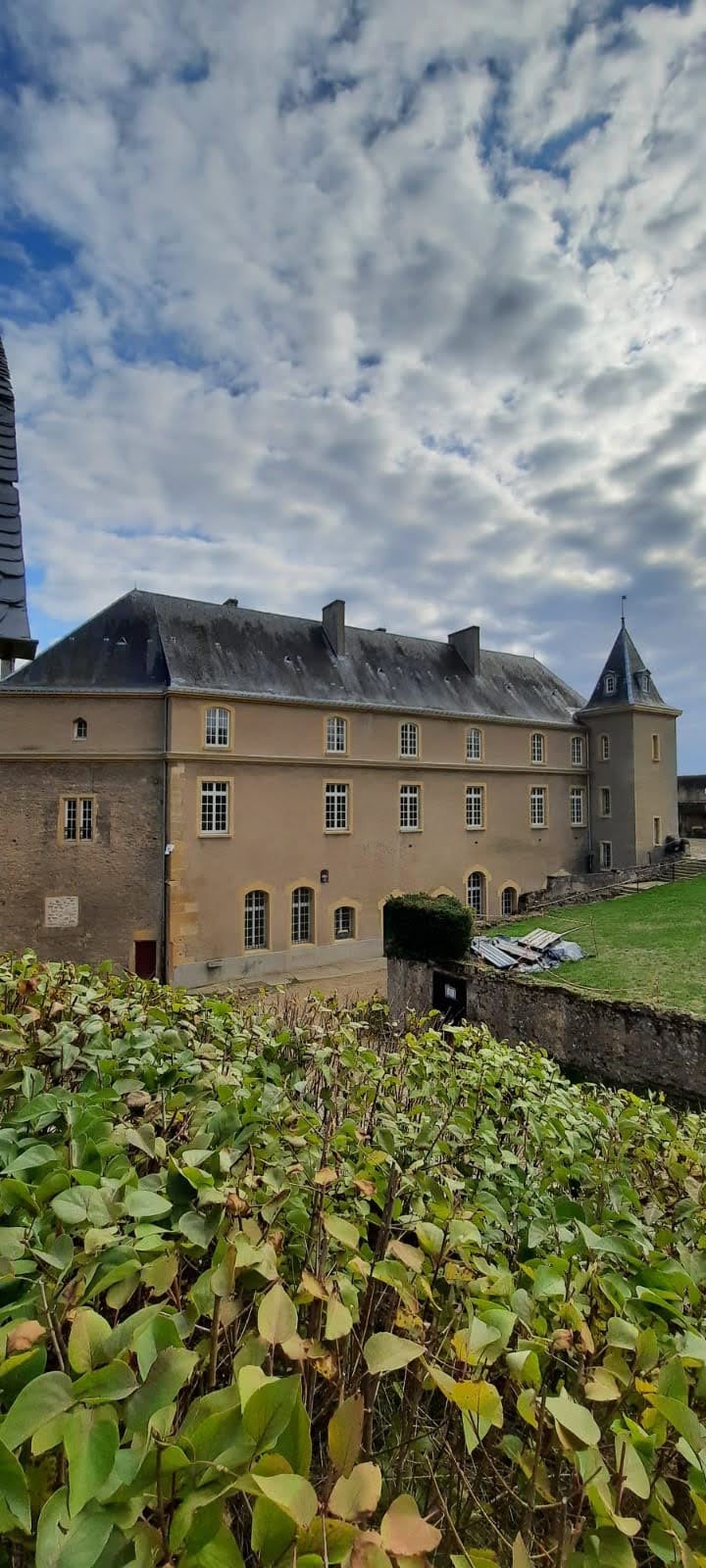 Photo n° 10 de l'avis de Fernando.i fait le 19/10/2020 à 21:12