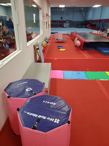 Gymnastics Center «Sterling Gymnastics Academy», reviews and photos, 5535 Gatewood Dr, Sterling Heights, MI 48310, USA