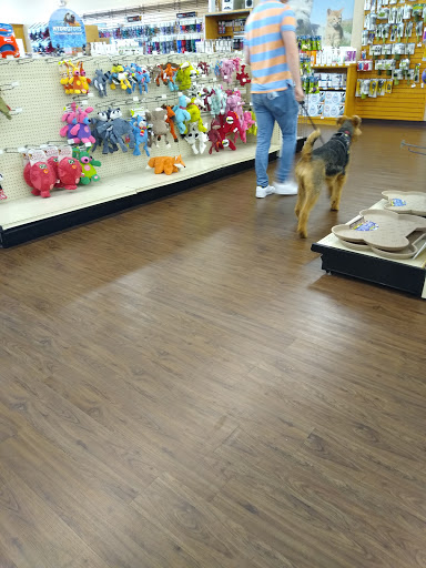 Pet Supply Store «All About Dogs & Cats LLC», reviews and photos, 1429 S Glenstone Ave, Springfield, MO 65804, USA