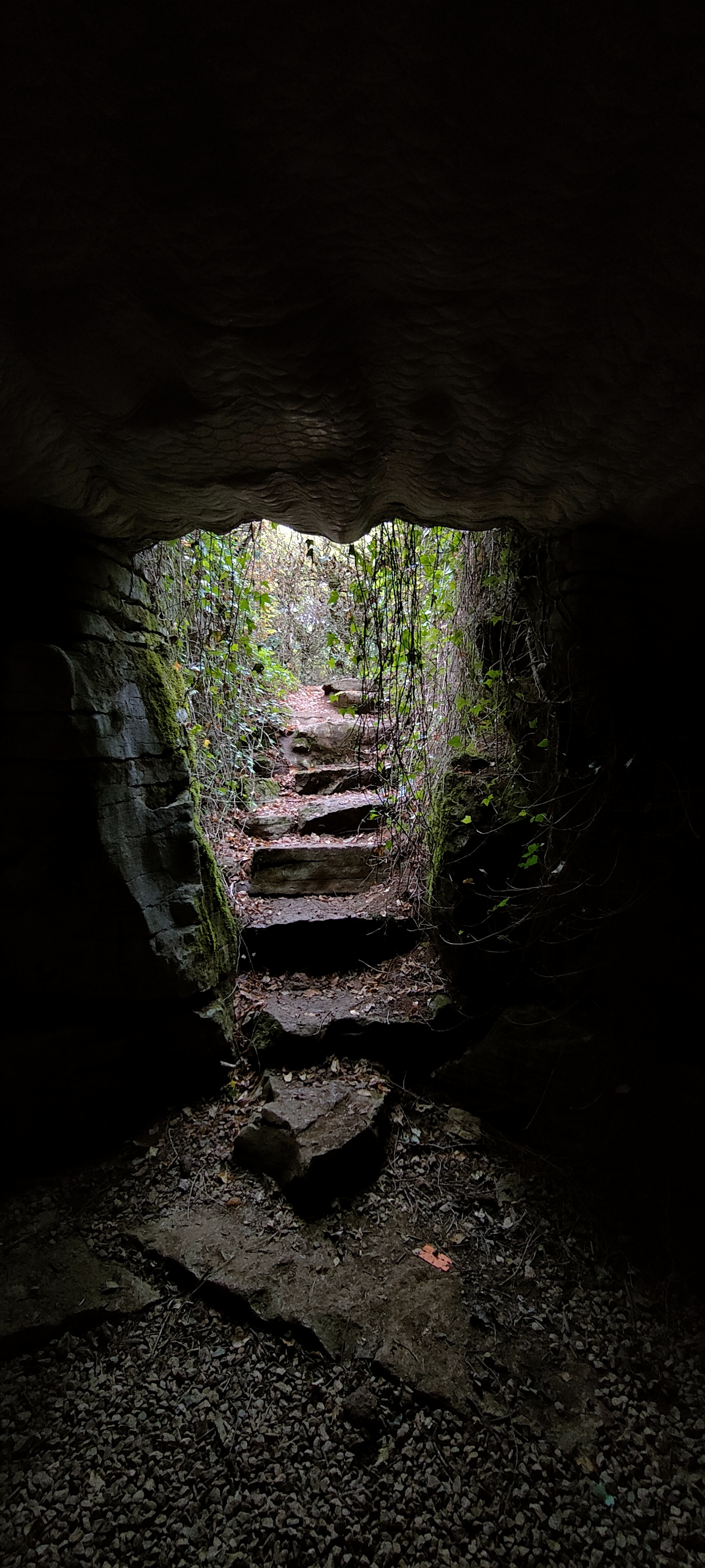 Photo n° 3 de l'avis de Chloé.a fait le 19/08/2022 à 08:39