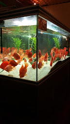 Photo n°48 de Le Pavillon Céleste à Charenton-le-Pont ()