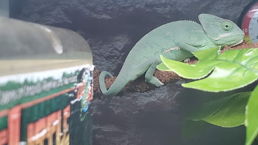 Pet Supply Store «Petco Animal Supplies», reviews and photos, 2621 MacArthur Rd, Whitehall, PA 18052, USA