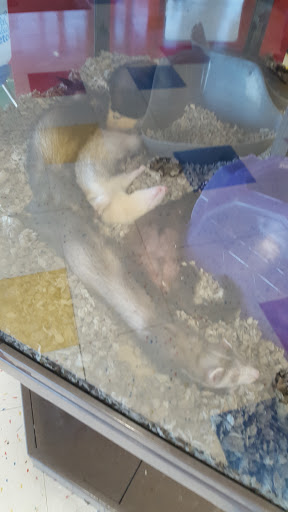 Pet Supply Store «Petco», reviews and photos, 149 Gravois Bluffs Plaza Dr, Fenton, MO 63026, USA