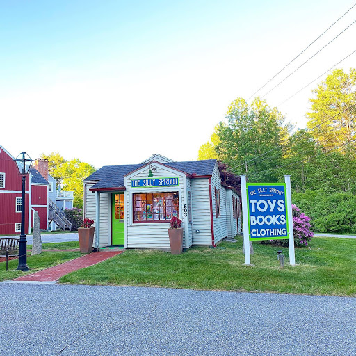 Toy Store «The Silly Sprout», reviews and photos, 469 Bantam Rd, Litchfield, CT 06759, USA