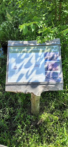 Nature Preserve «Macricostas Preserve», reviews and photos, 121 Christian St, New Preston, CT 06777, USA