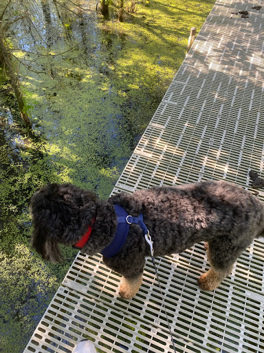 Nature Preserve «Beanblossom Bottoms Nature Preserve - Sycamore Land Trust», reviews and photos, N Woodall Rd, Ellettsville, IN 47429, USA