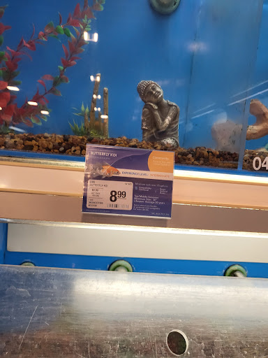 Pet Supply Store «PetSmart», reviews and photos, 1160 Stafford Market Pl, Stafford, VA 22556, USA