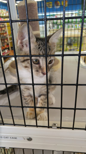 Pet Supply Store «Pet Supermarket», reviews and photos, 1338 Del Prado Blvd, Cape Coral, FL 33990, USA