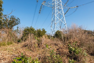 二子山山系ハイキングコース(茅塚)