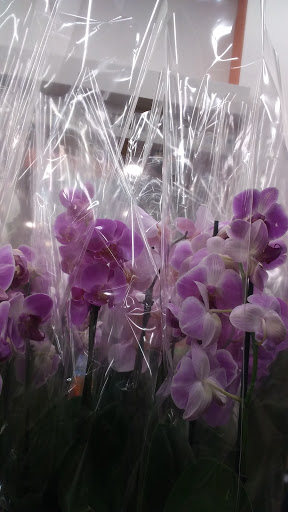 Supermarket «Walmart Neighborhood Market», reviews and photos, 109 Gallatin Pike N, Madison, TN 37115, USA