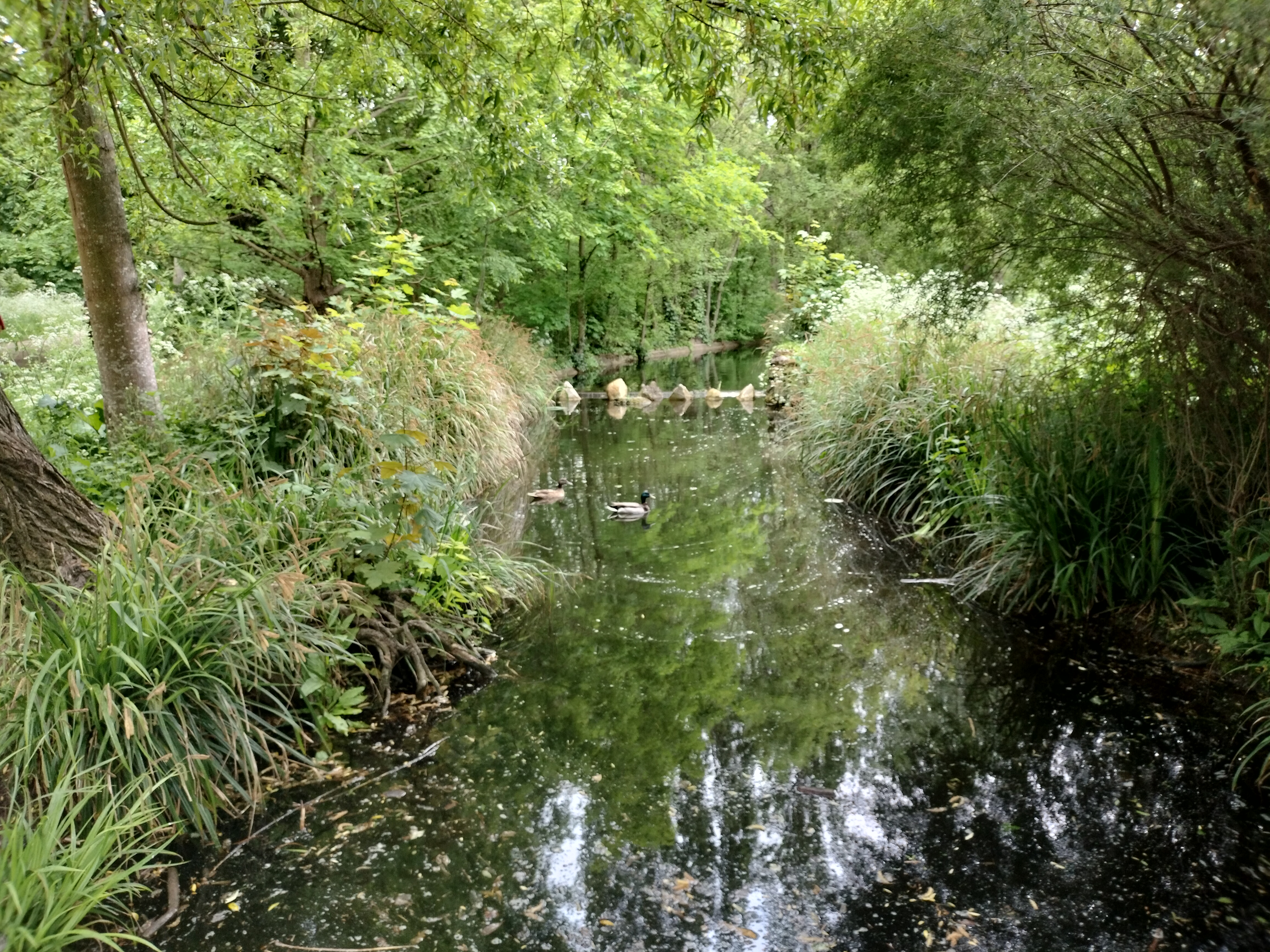 Photo n° 4 de l'avis de Linguère.a fait le 12/05/2023 à 19:09