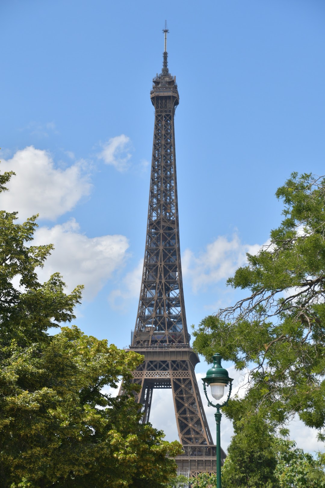 Photo n° 17 de l'avis de Danuble.e fait le 12/06/2022 à 17:23