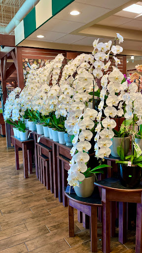 Grocery Store «The Fresh Market», reviews and photos, 3820 N Federal Hwy, Fort Lauderdale, FL 33308, USA