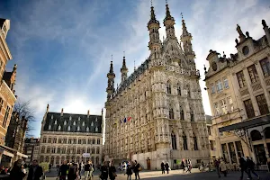 Historic Leuven Town Hall image
