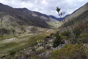 Parque Nacional Sierra Nevada image