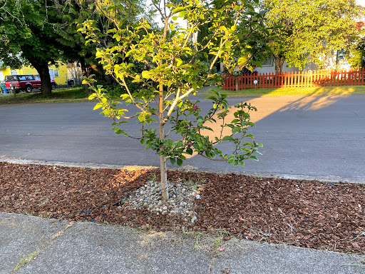 House Cleaning Service «Molly Maid of Greater Vancouver», reviews and photos, 2515 E Evergreen Blvd, Vancouver, WA 98661, USA