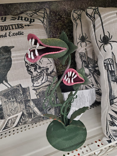 Craft Store «Michaels», reviews and photos, 14829 N Dale Mabry Hwy, Carrollwood, FL 33618, USA