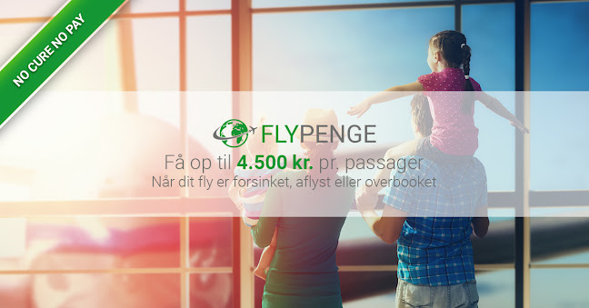 flypenge.dk