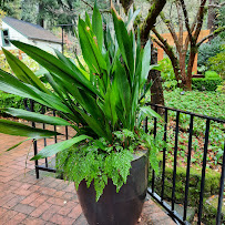 McMenamins Kennedy School Soaking Pool - Photo 7 - Car repair in Portland, OR, Portland
