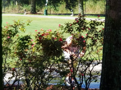 Park «Capehart Park», reviews and photos, 715 Capehart Dr, Orlando, FL 32822, USA