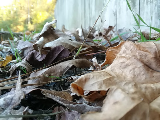 Tire Shop «A C Tire Inc», reviews and photos, 425 S Washington Hwy, Ashland, VA 23005, USA