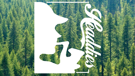 Tobacco Shop «Headdies Pipe & Vape Shop», reviews and photos, 757 Scranton Carbondale Hwy, Scranton, PA 18508, USA