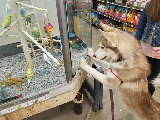 Pet Supply Store «Petco Animal Supplies», reviews and photos, 190 Quality Dr, Hooksett, NH 03106, USA