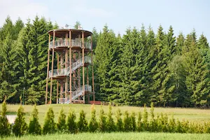 Lookout tower - Oberbärenburg image