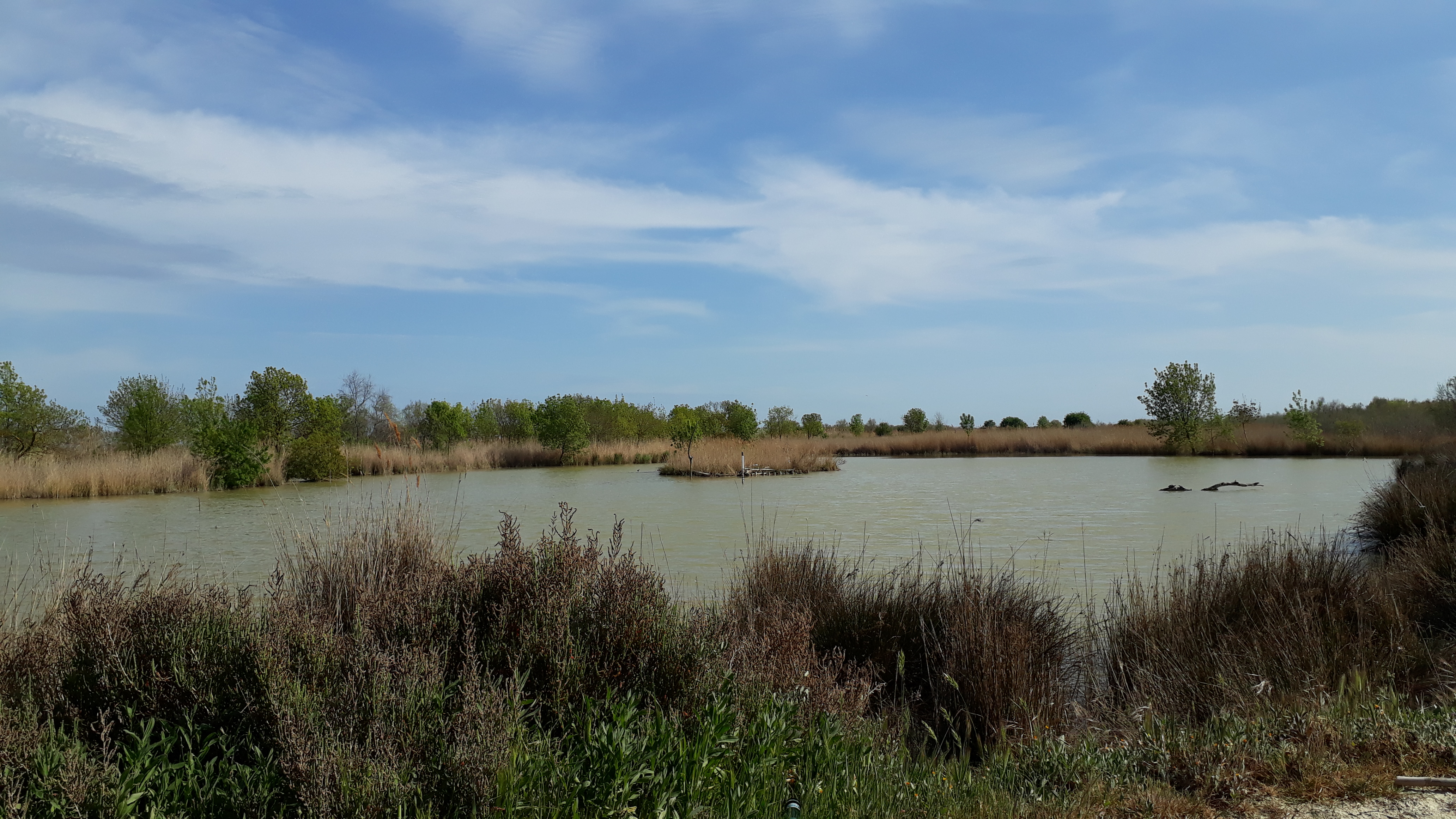 Photo n° 14 de l'avis de Cassandra.i fait le 17/03/2019 à 16:00