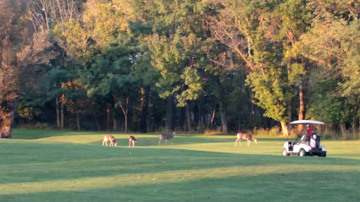 Golf Course «Cherry Ridge Golf», reviews and photos, 1211 W River Rd N, Elyria, OH 44035, USA