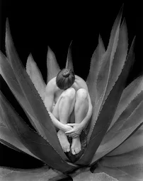 Kim Weston Photography - Car repair in Carmel-By-The-Sea, CA, Seaside - Rated 4.7/5