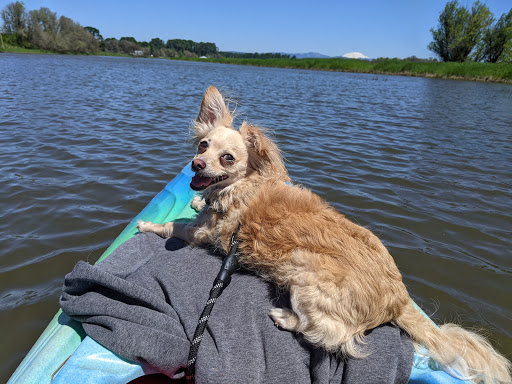 Canoe & Kayak Rental Service «Scappoose Bay Paddling Center», reviews and photos, 57420 Old Portland Rd, Warren, OR 97053, USA