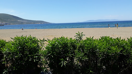 Dikili Plajı II