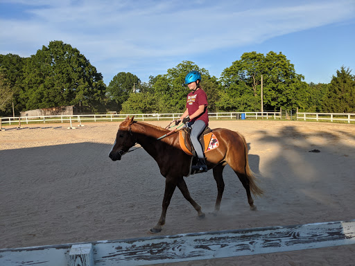 Horse riding schools Charlotte