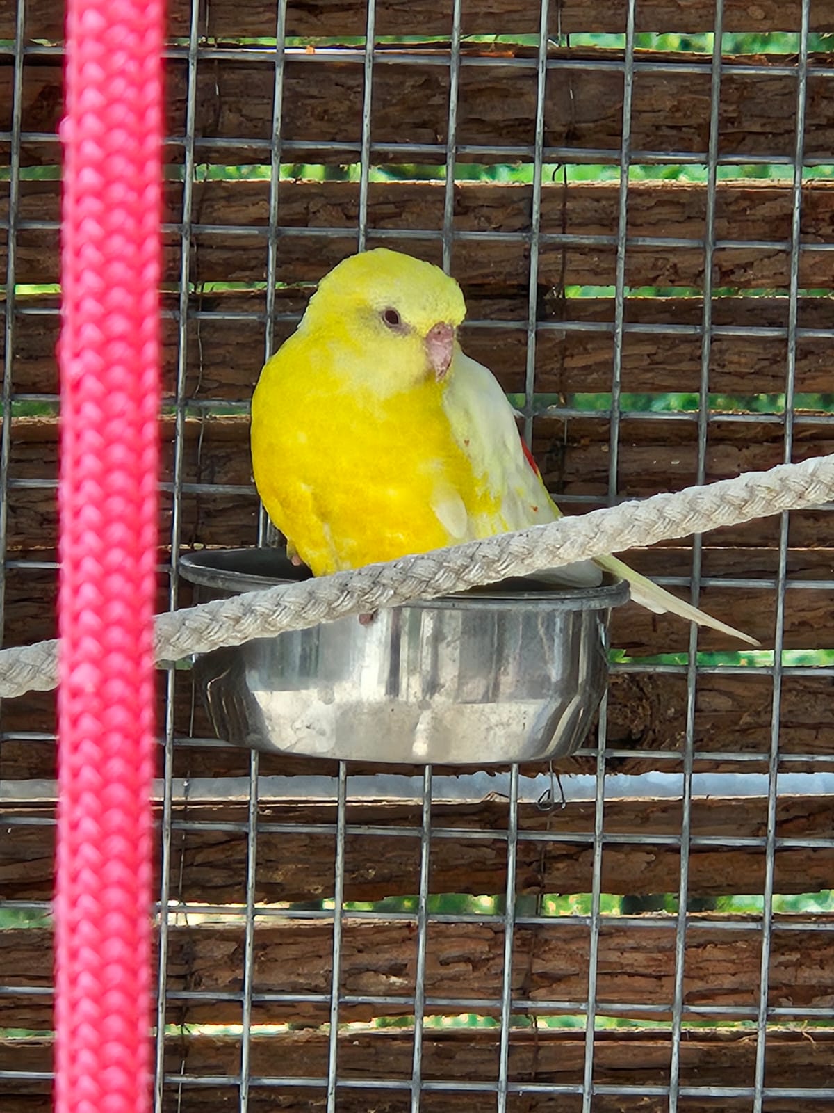 Photo n° 5 de l'avis de Chris. fait le 05/08/2023 à 05:18