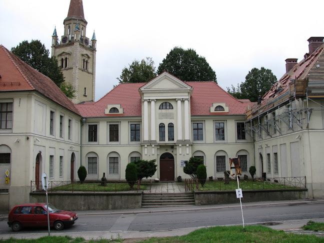 Muzeum Porcelany - Muzeum