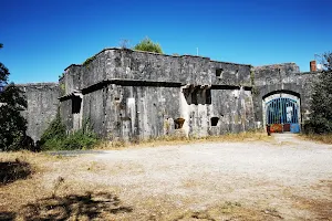 Fort des Saumonards image