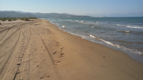 Pamucak beach II