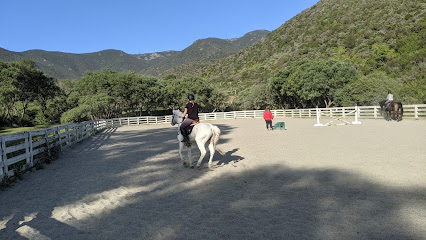 Sun Valley Equestrian llc