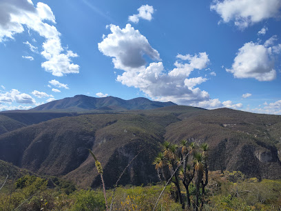 Reserva Estatal Sierra del Tentzo