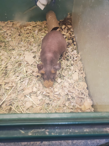 Pet Supply Store «Pet Supplies Plus», reviews and photos, 1168 Farmington Ave, Bristol, CT 06010, USA