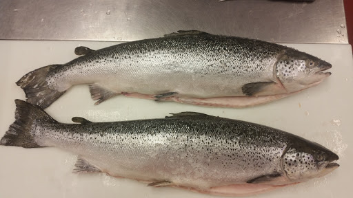 Supermarket «Karns Foods», reviews and photos, 1023 State St, Lemoyne, PA 17043, USA