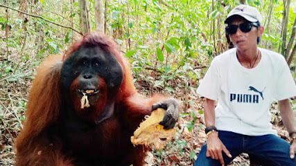 Wahyu Tanjung Puting Tour and Trip (Orangutan Trip)