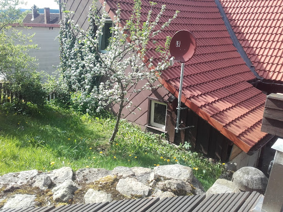 Photos des visiteurs Cottage Ferienhaus Hexenhütte 37444 Sankt Andreasberg