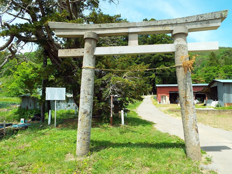 白山神社 イチヰの樹